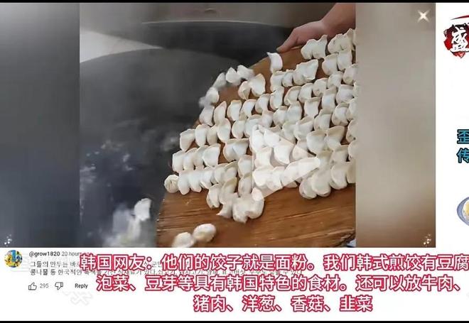 在美注册“饺子外观”专利各国网友辣评韩国PG麻将胡了免费模拟器离谱！韩国一企业(图3)