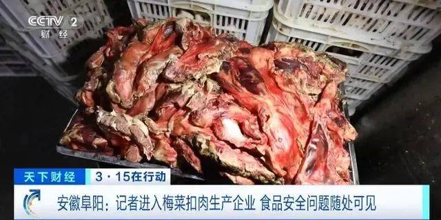 了？王晶都邀请他出席了自己70岁的生日宴麻将胡了2试玩网站疯狂小杨哥就这样洗白(图15)