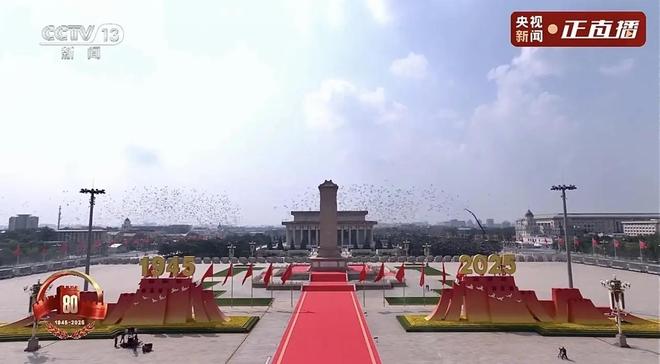 借来”的关在特殊笼子放飞有的已经到家了麻将胡了试玩模拟器8万羽和平鸽都是“(图5)